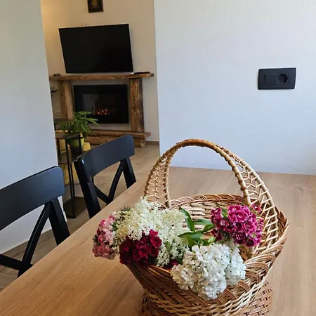 Apartament Sontis *